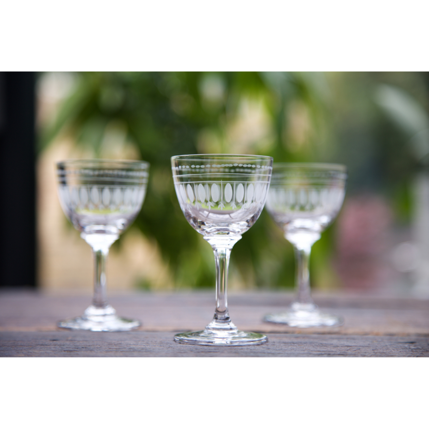 The Vintage List Oval Champagne Coupes Set of Six