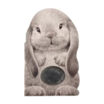 Sourcebooks Furry Bunny