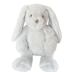 Mon Ami Abbott Blue Bunny