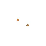 Hailey Gerrits Designs Carnelian Mini Stone Stud