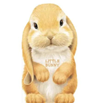 Sourcebooks Little Bunny (BB)