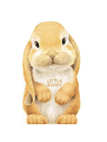 Sourcebooks Little Bunny