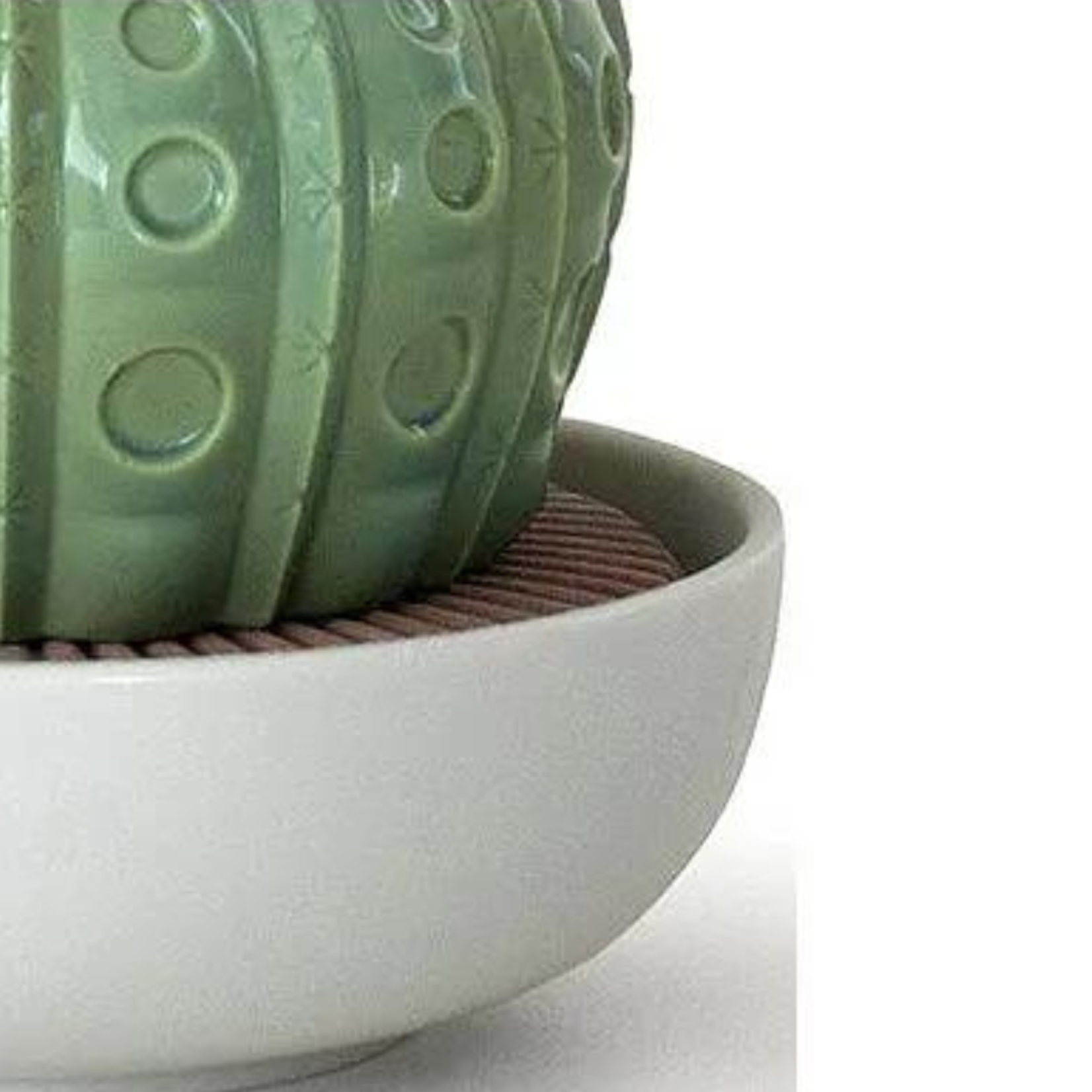 Lladro Astrophytum Cactus Diffuser -Gardens of Valencia Scent