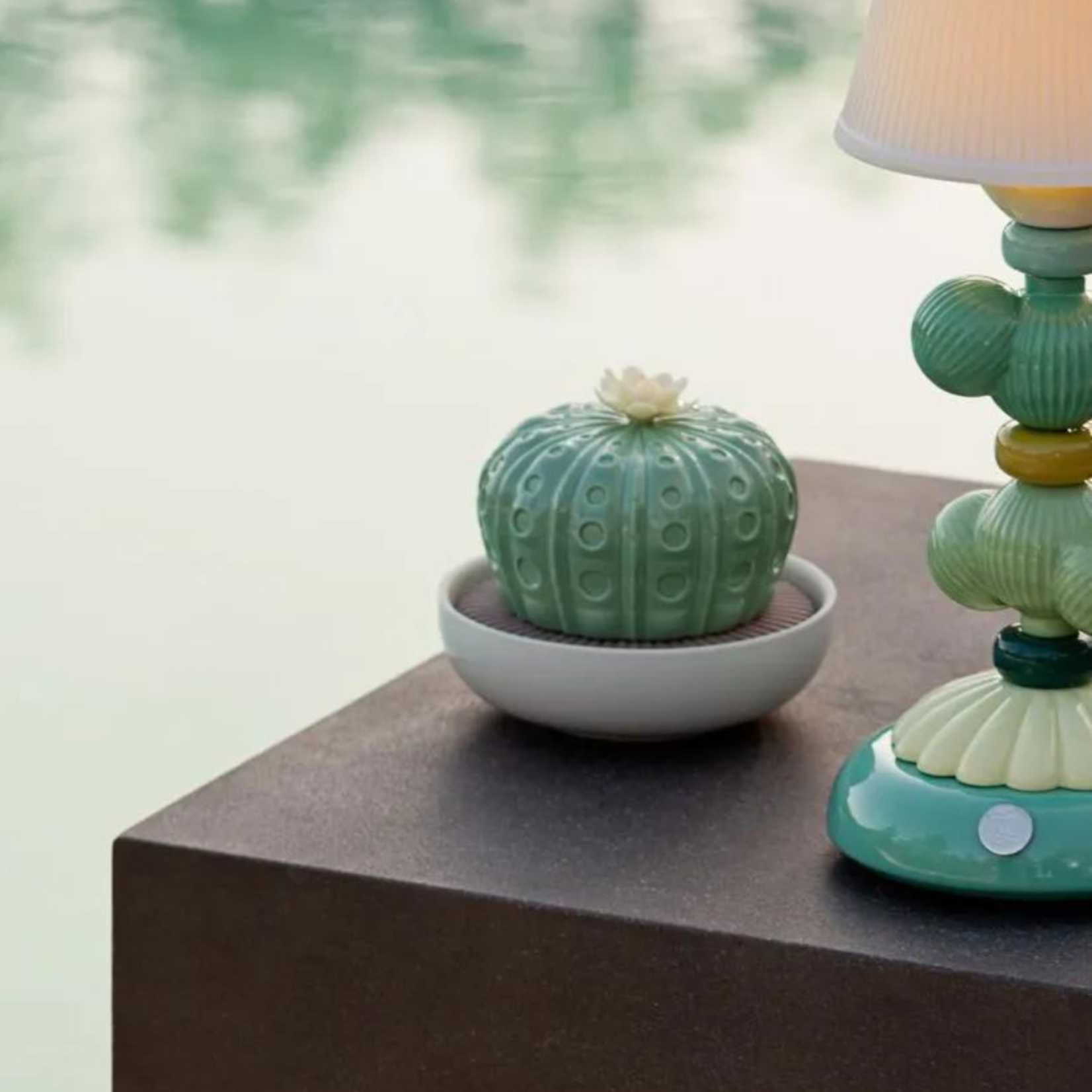 Lladro Astrophytum Cactus Diffuser -Gardens of Valencia Scent