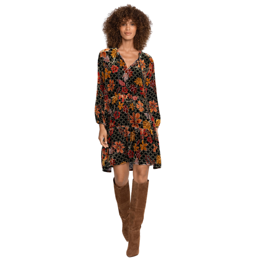 princess polly baby blue dress Johnny Was Serefina Velvet Tunic Dress In Snake Eye