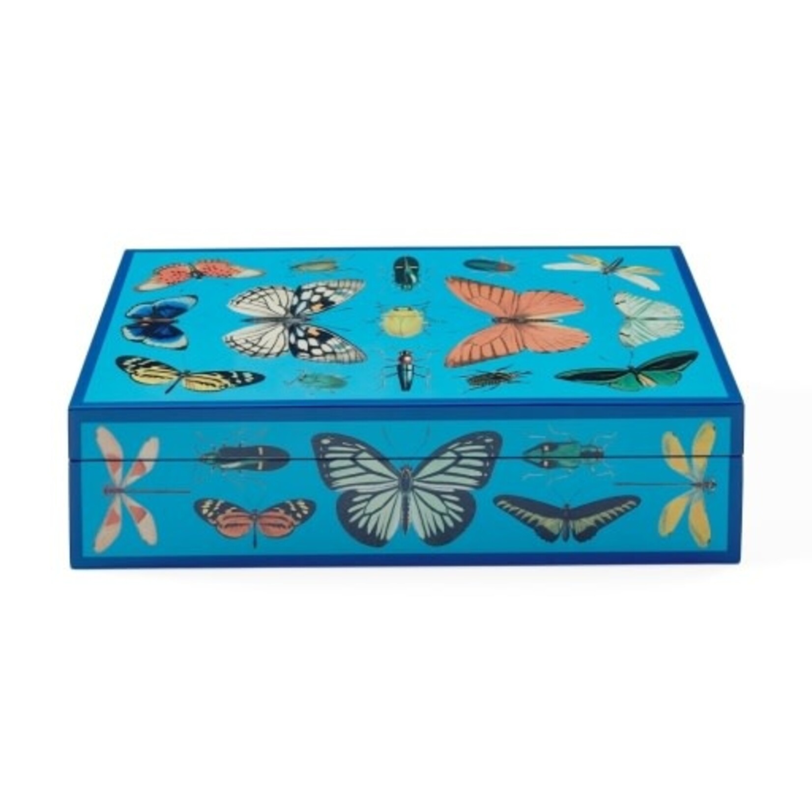 Jonathan Adler Large Lacquer Botanist Box