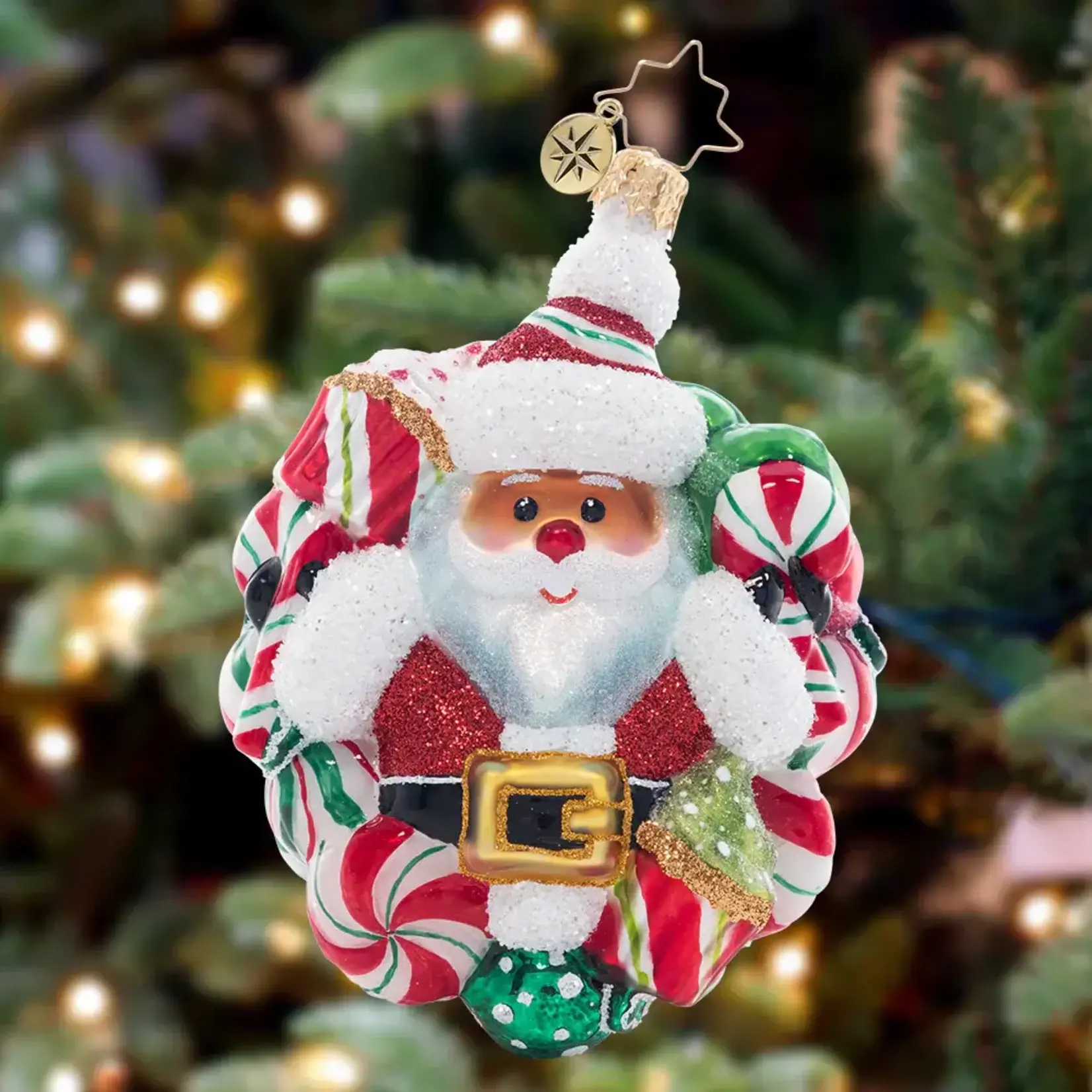 Christopher Radko Peppermint Dreams Santa