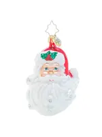 Christopher Radko Jolly With A Dash Of Holly Gem Ornament