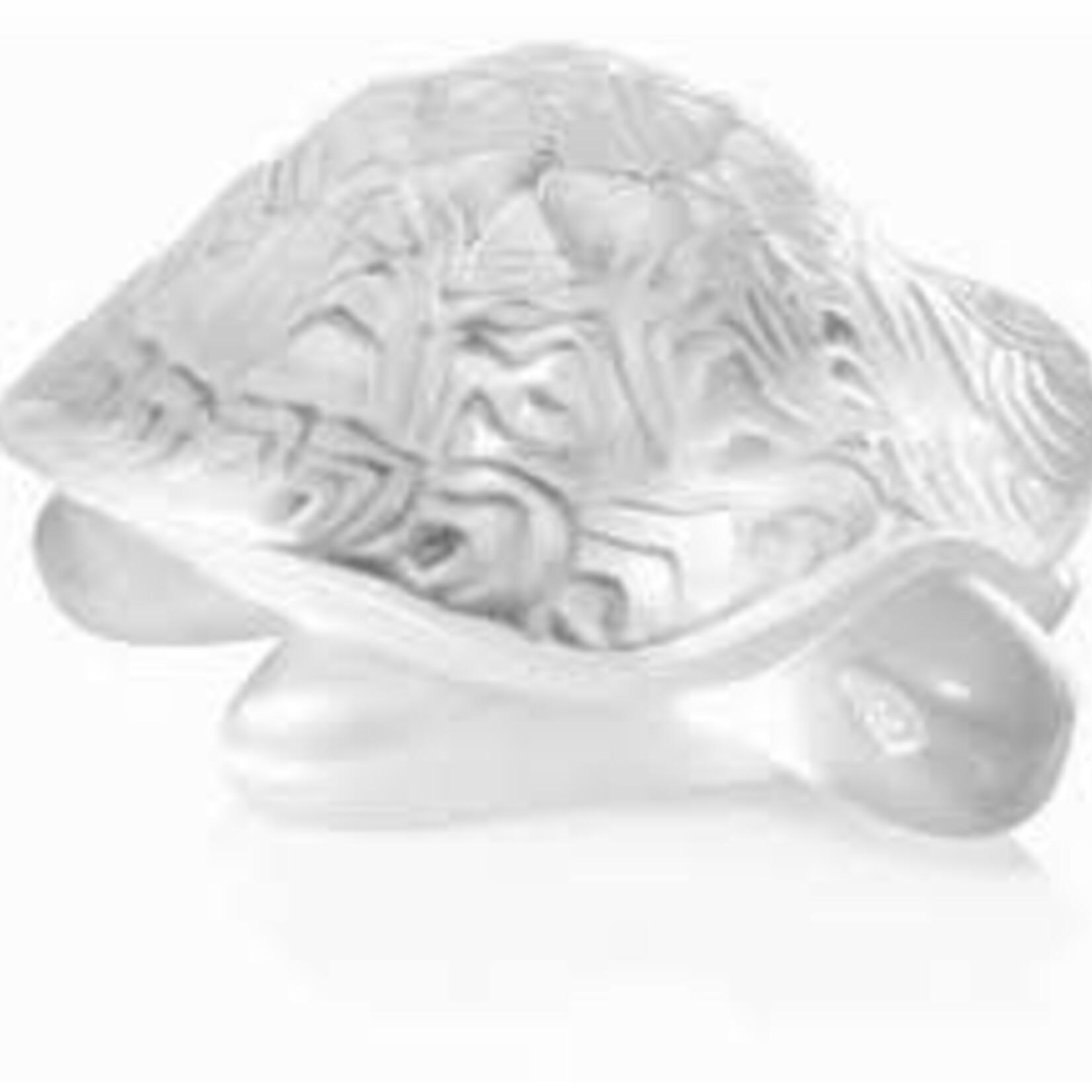 Lalique Sedonie Turtle Clear