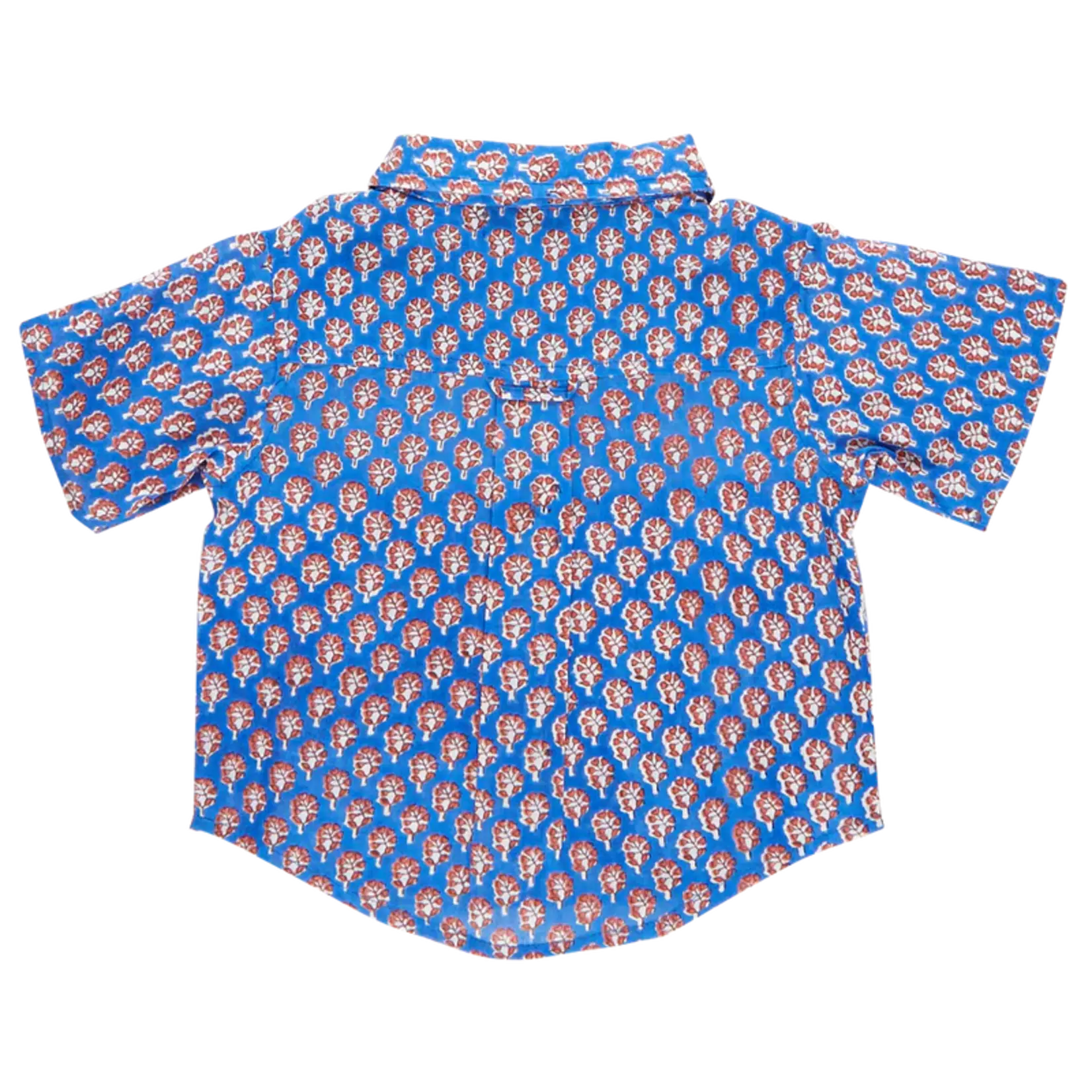 Blue Rooster Baby Boys Jack Shirt - Blue Lisbon Ditsy