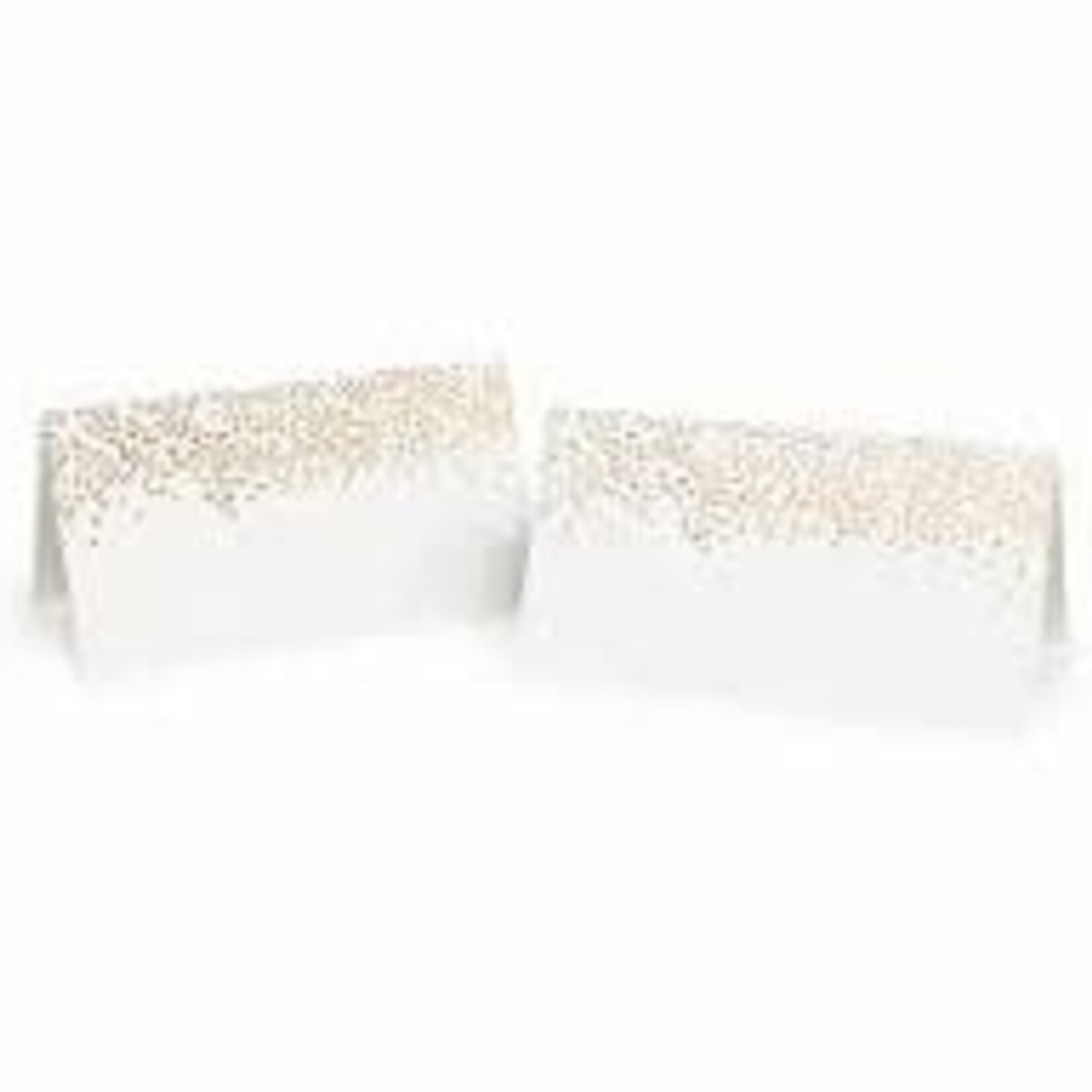 Rifle Paper Company Champagne Place Cards - Set of 8