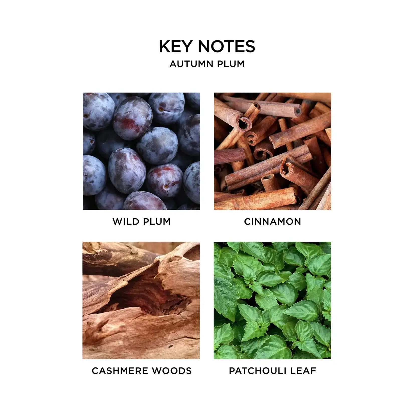 Nest Fragrances Autumn Plum Luxury Candle