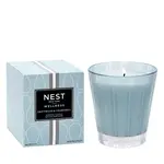 Nest Fragrances Driftwood & Chamomile Classic Candle