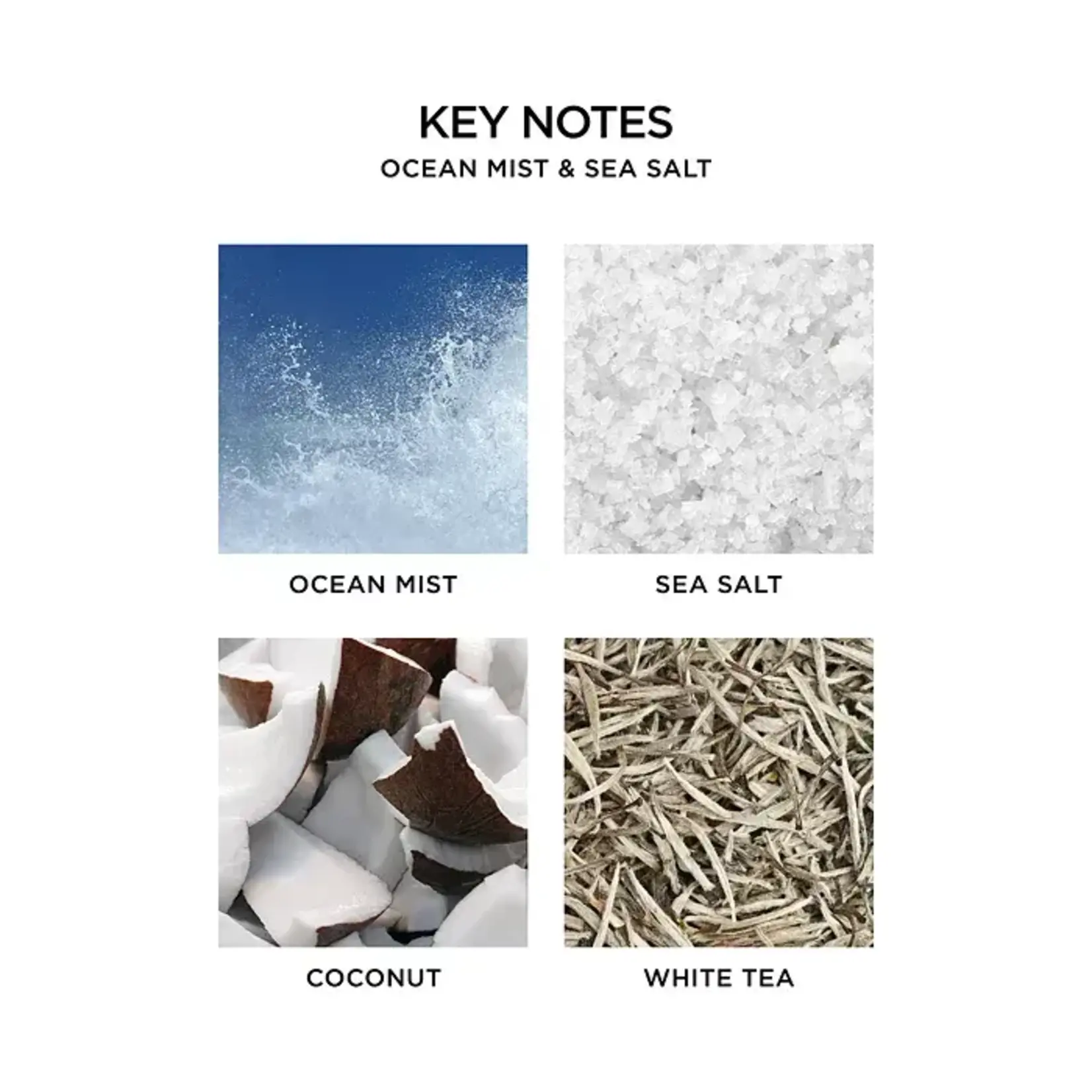 Nest Fragrances Ocean Mist & Sea Salt 3 Wick Candle