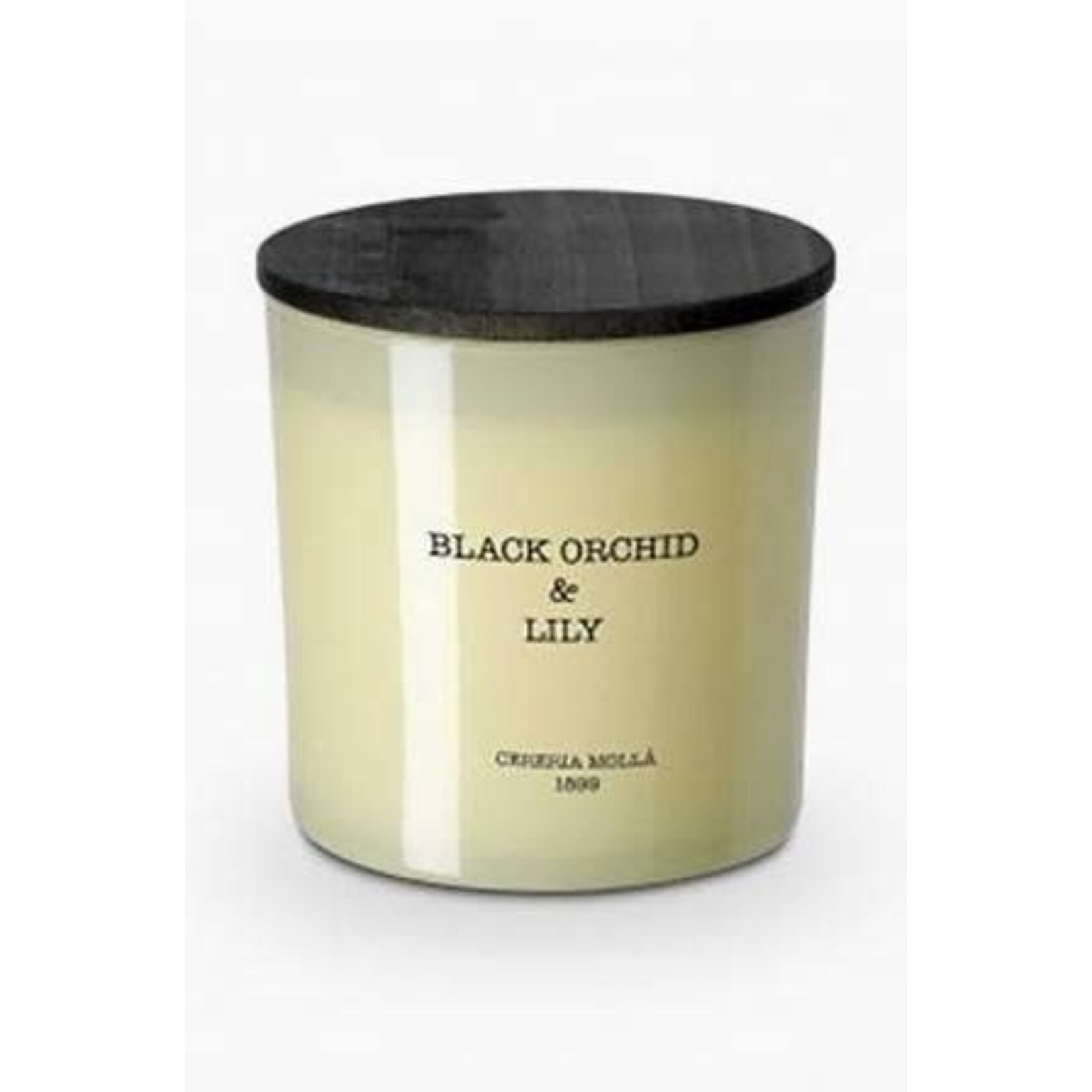Cereria Molla Black Orchid & Lily 3 Wick XL Candle