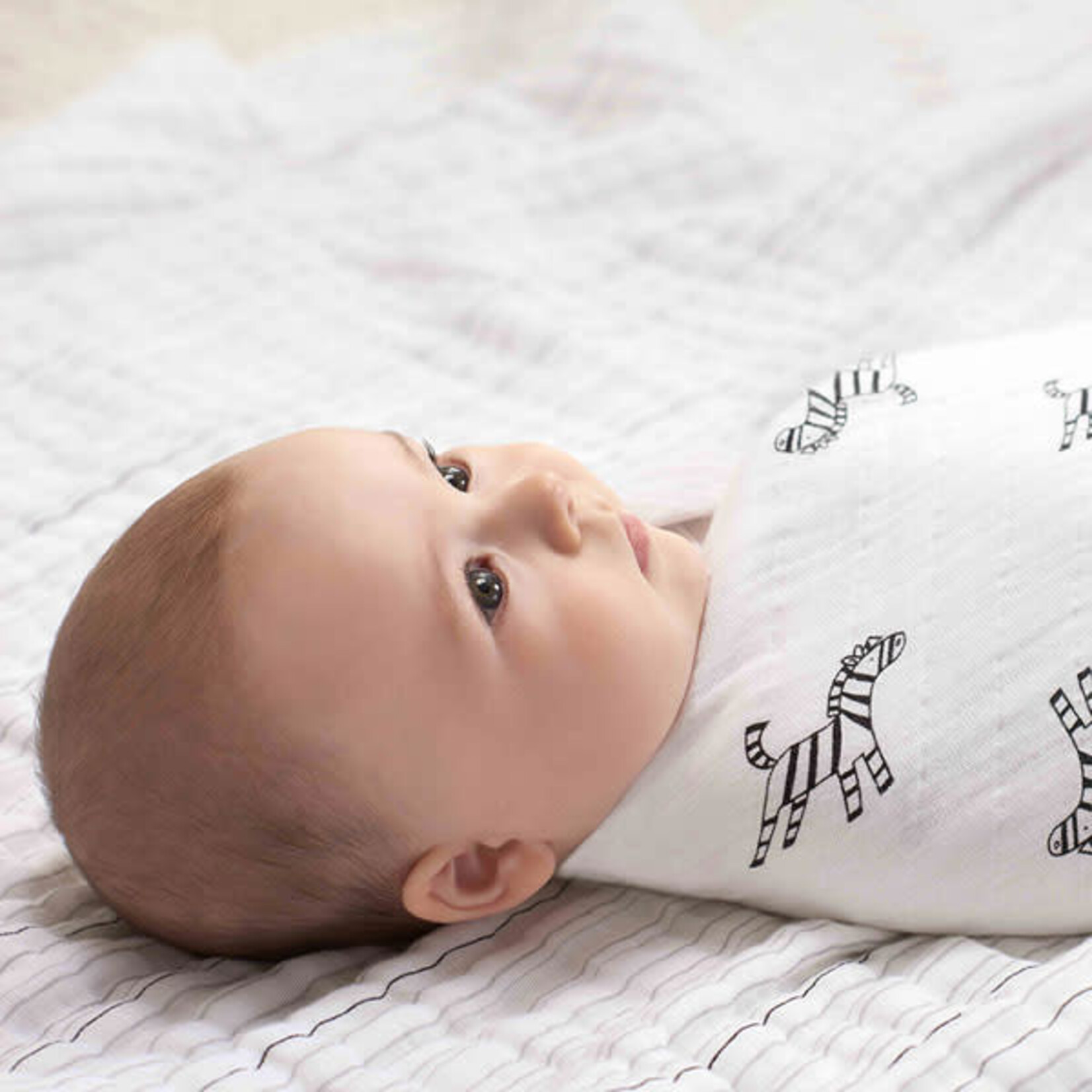 10th Anniversary 2Pack Swaddles