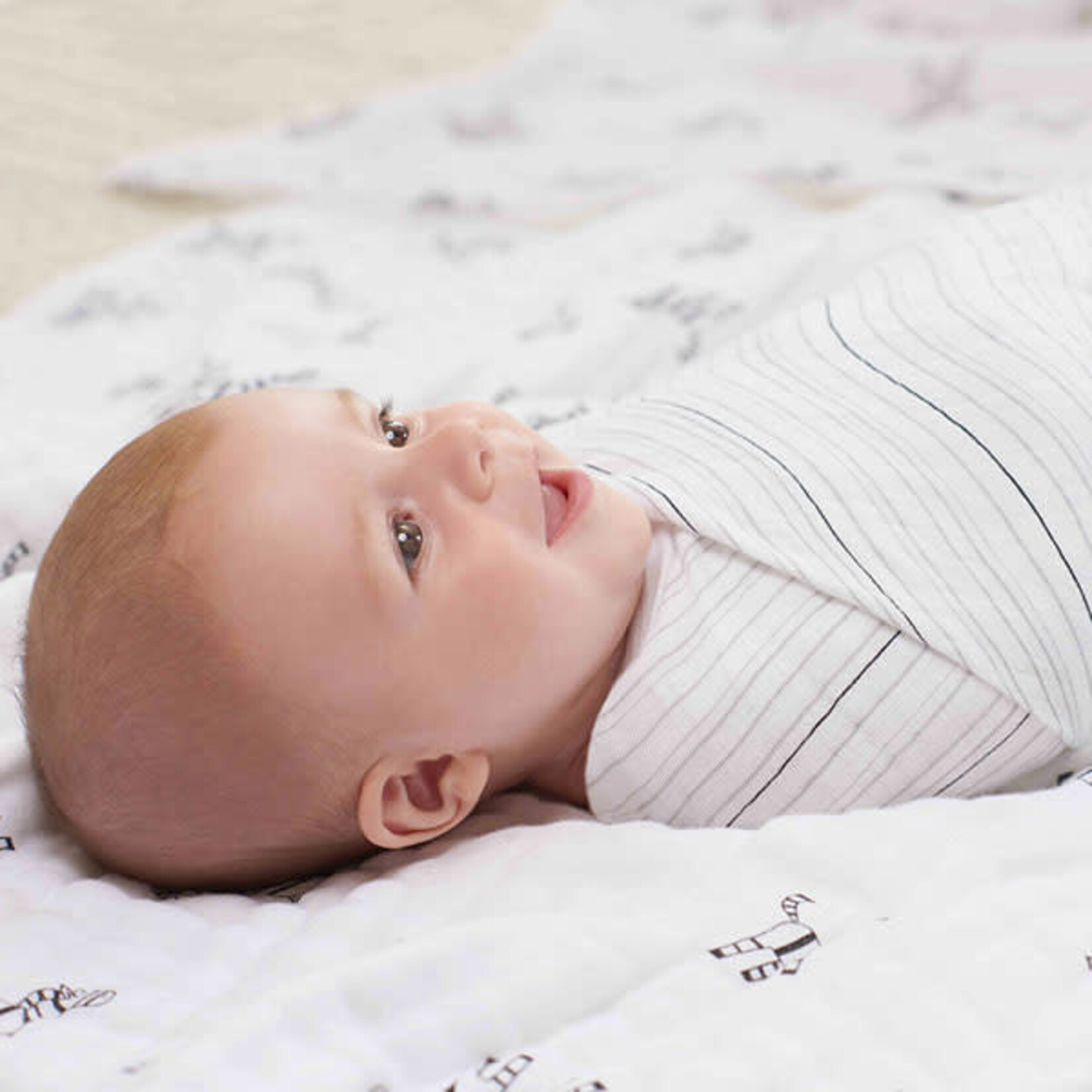 10th Anniversary 2Pack Swaddles