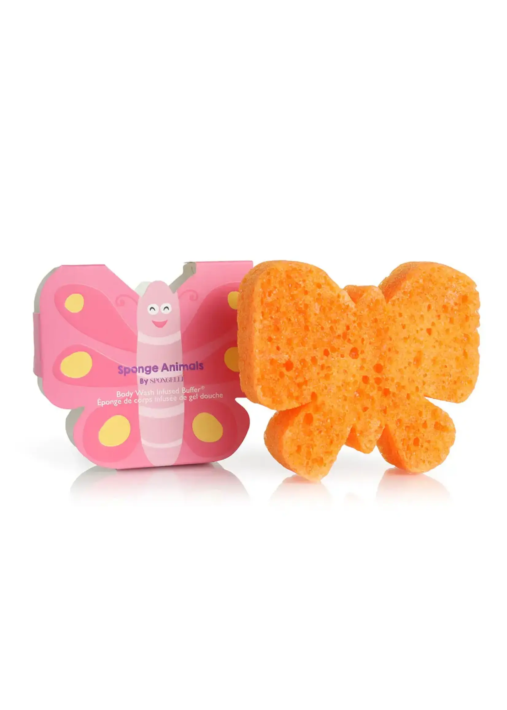 Butterfly Sponge Animal