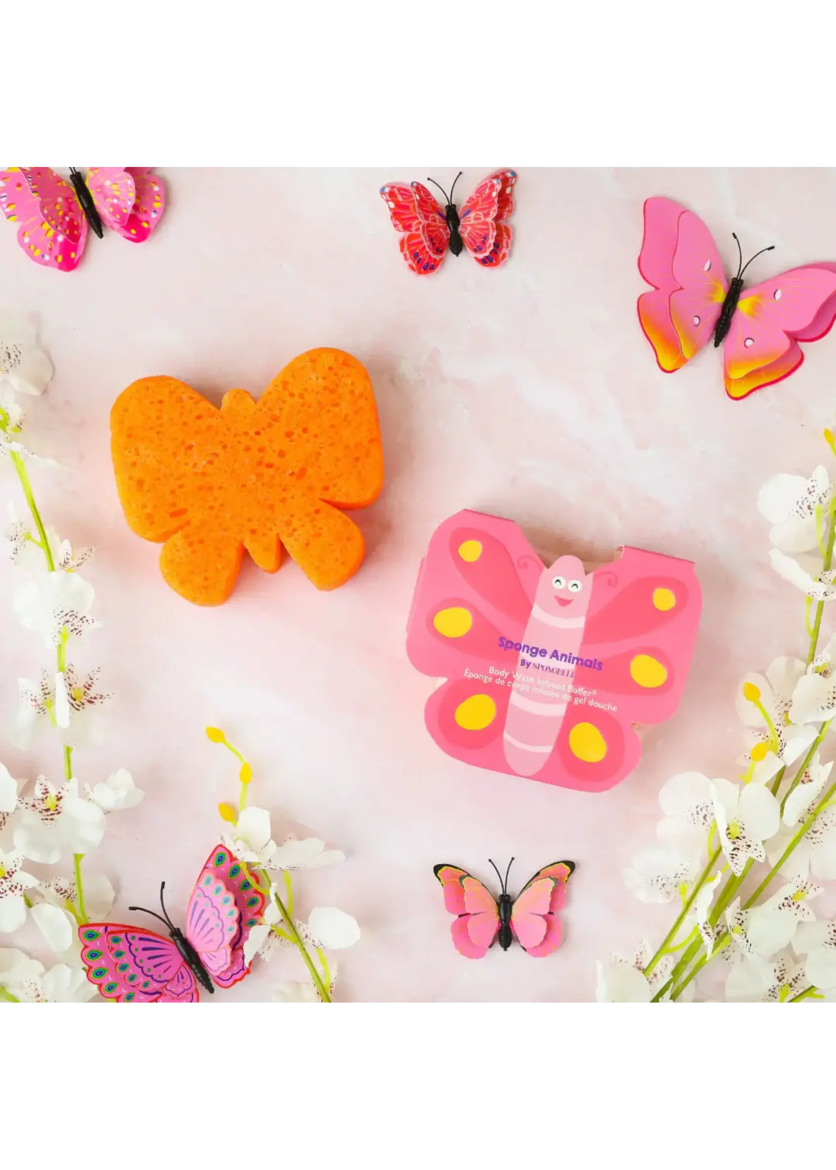 Butterfly Sponge Animal