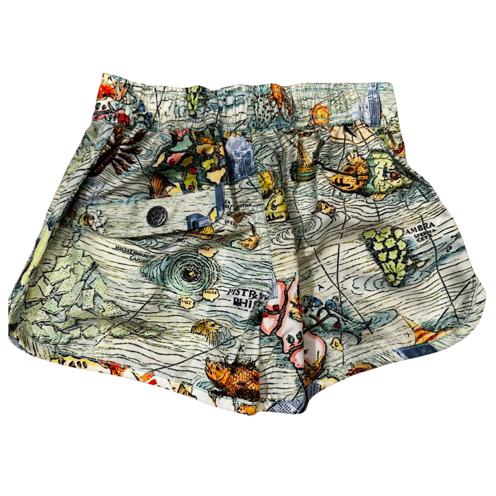 PW International Limited (Paper Wings) Mapped Out Retro Boardshorts