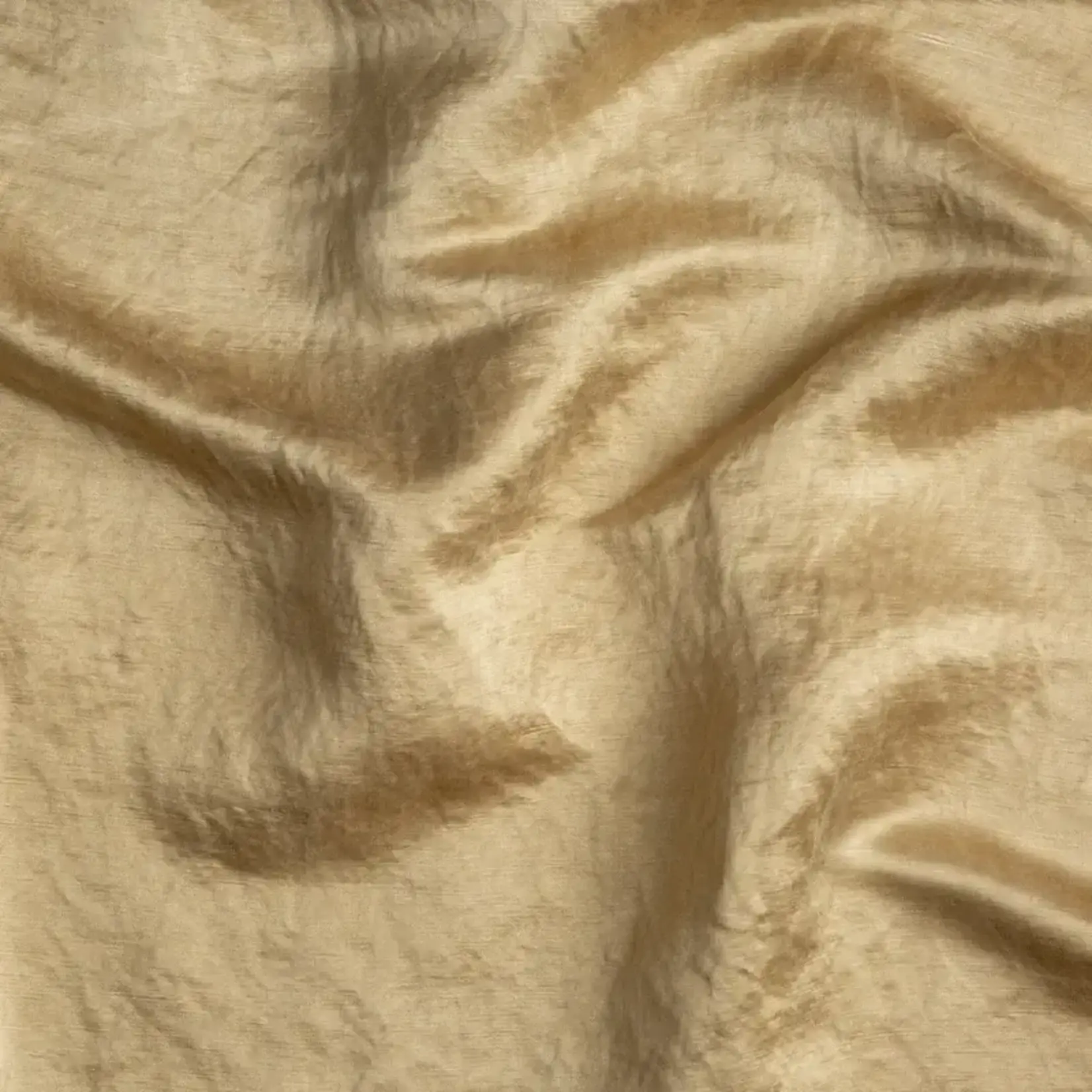 Bella Notte Paloma Pillowcase with Cotton Lace Trim