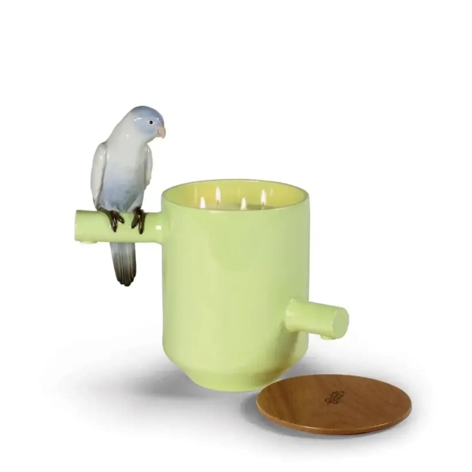 Lladro Parrot's Scented Treasure (green)