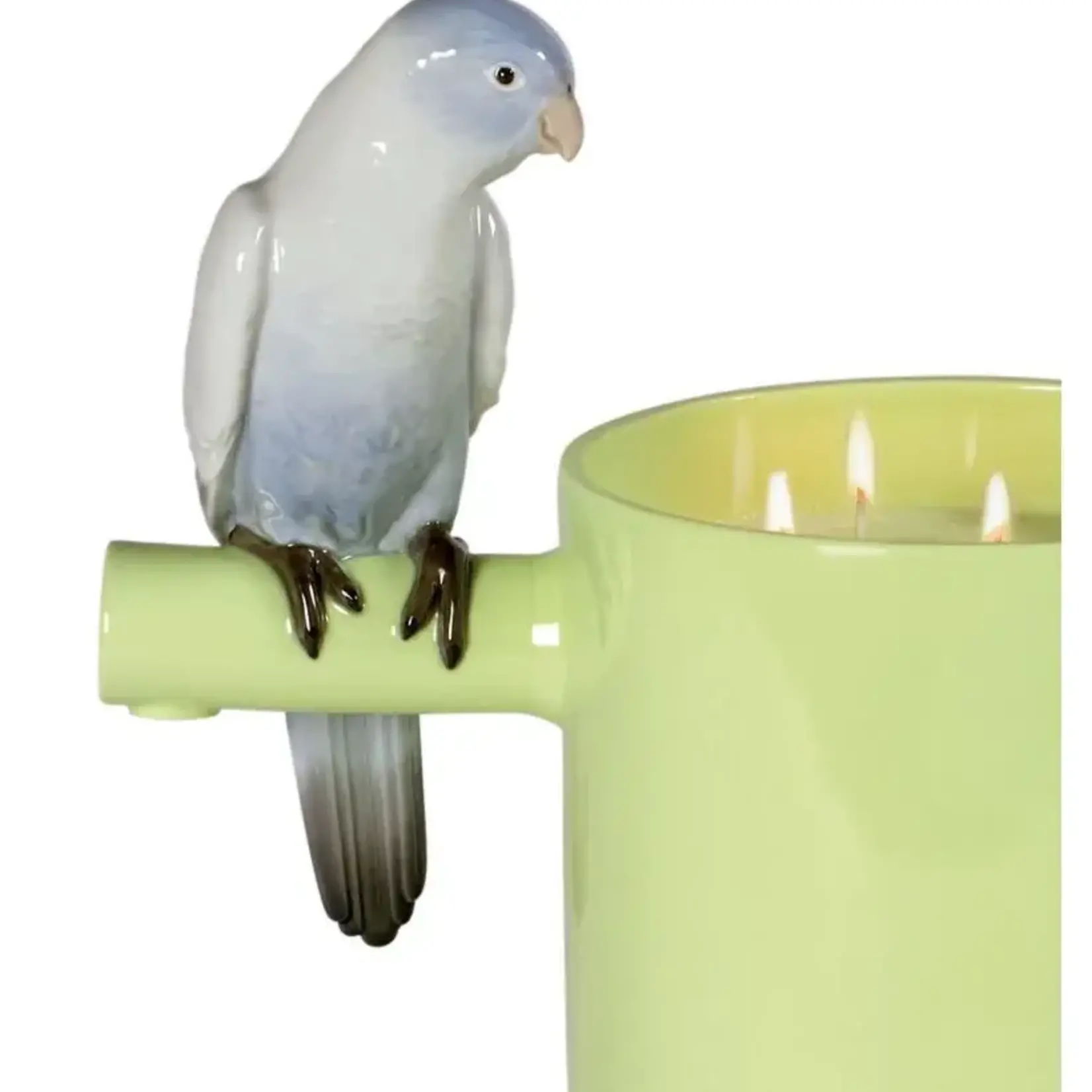 Lladro Parrot's Scented Treasure (green)