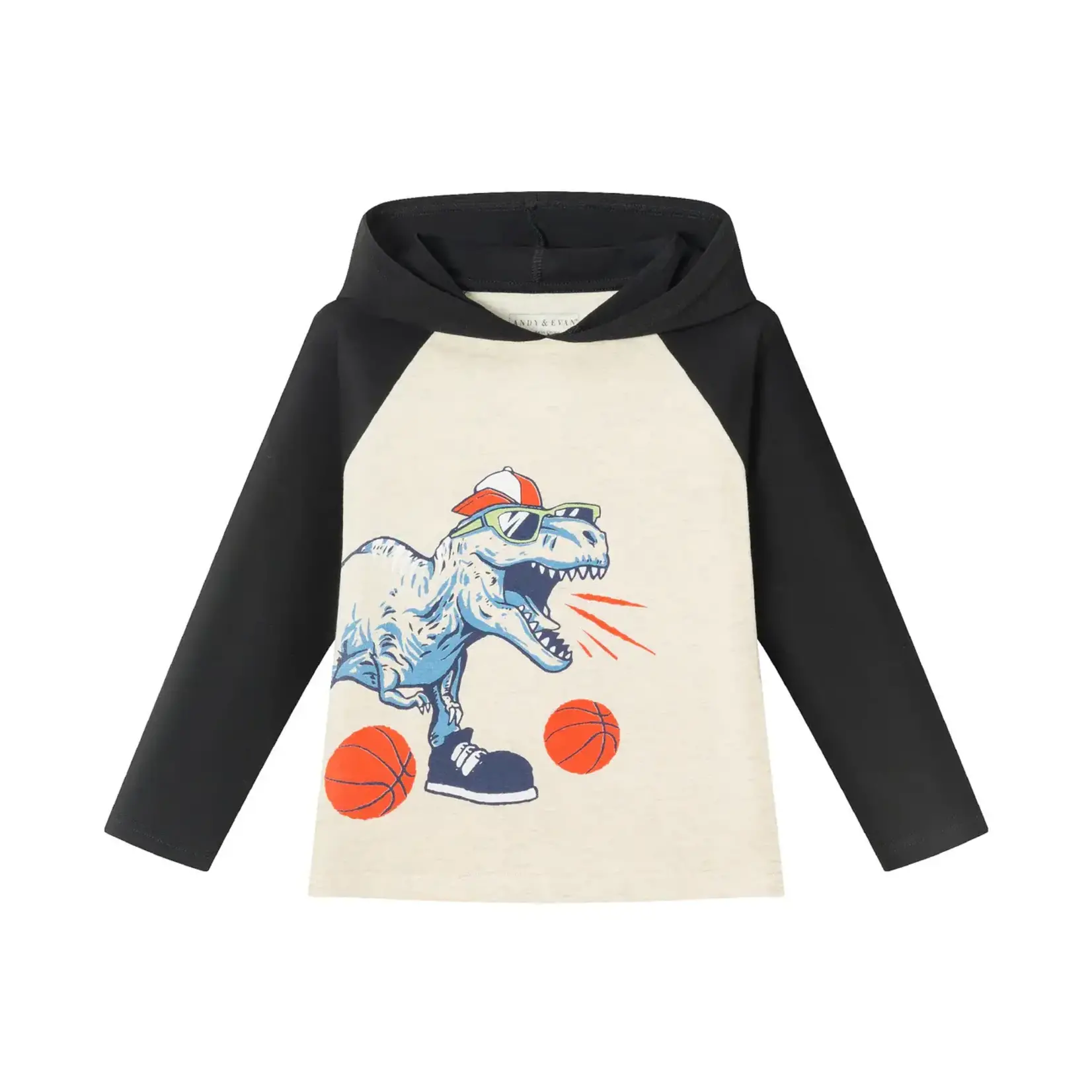 Andy & Evan Basketball Dino Long Sleeve Hooded Tee