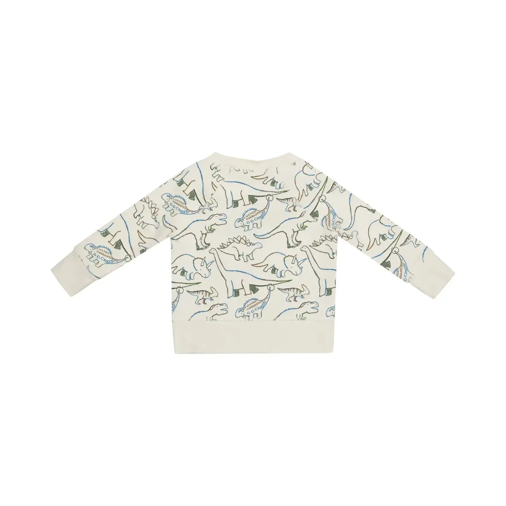 Angel Dear French Terry Artsy Dinos - Raglan Sweatshirt And Jogger Set