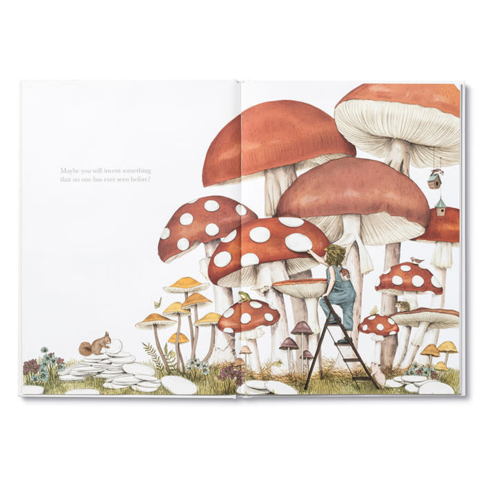 Compendium Maybe Book