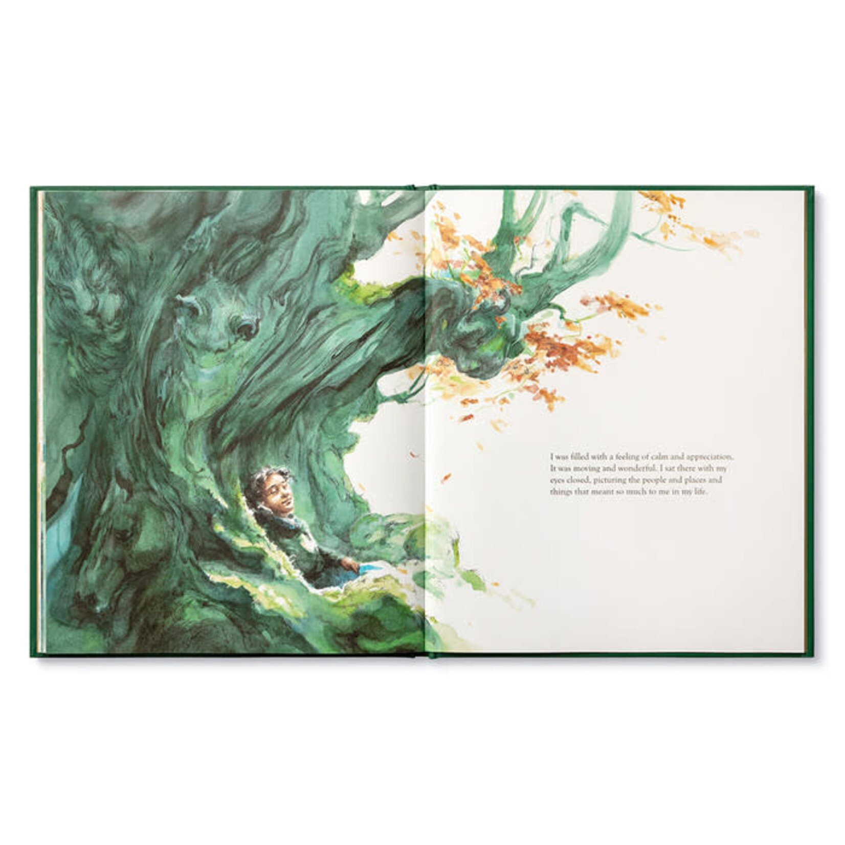 Compendium Noticing Book