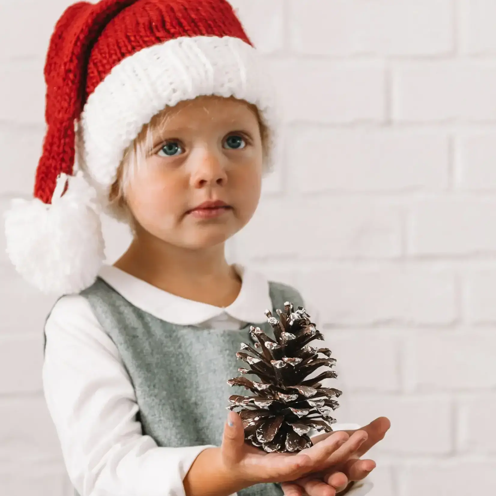 The Blueberry Hill Nicholas Santa Hat