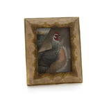 Cody Foster Pale Apricot Scroll Work Frame 3 X 2.25"