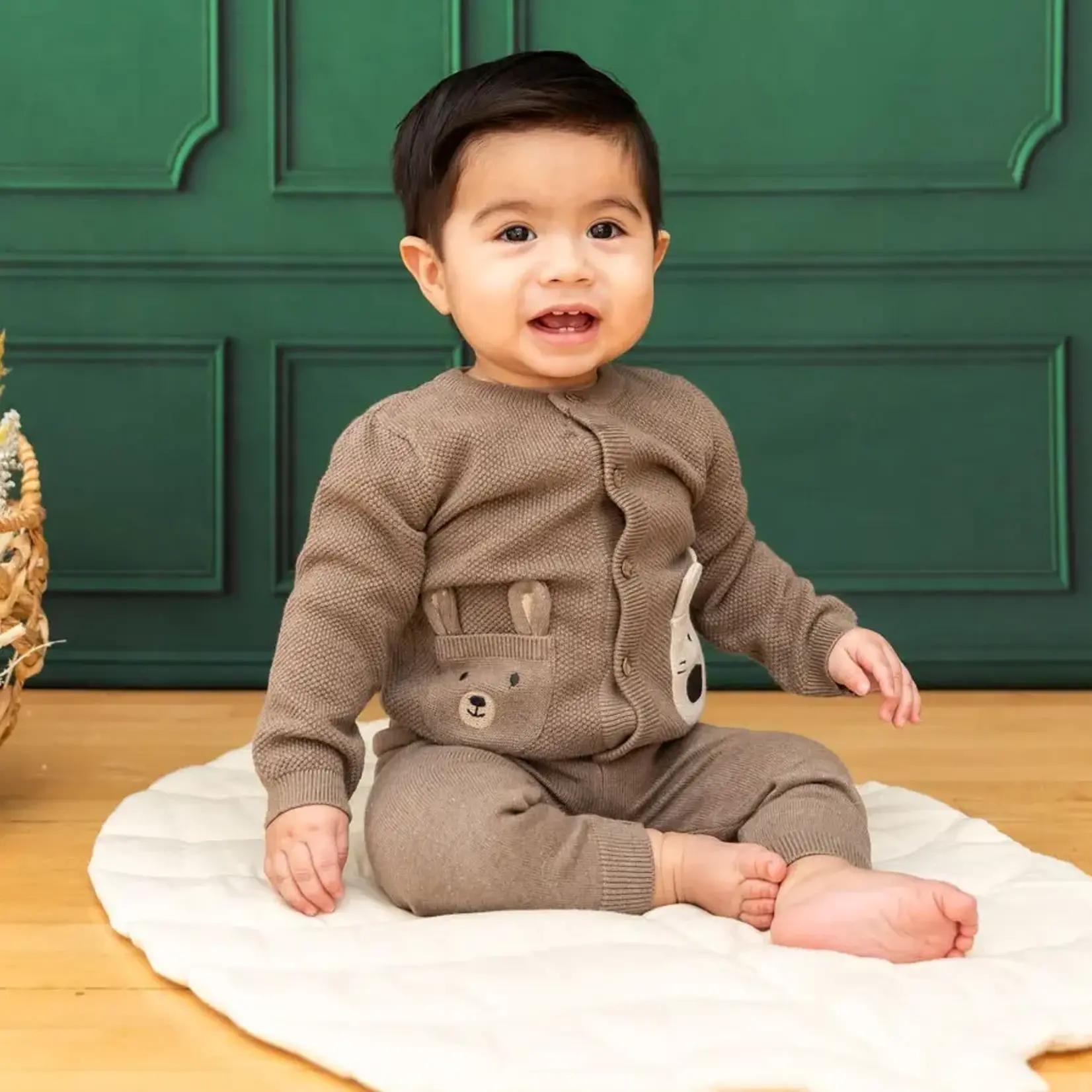 Viverano Organics Animal Pocket Button Cardigan Baby Sweater (Organic Cotton)