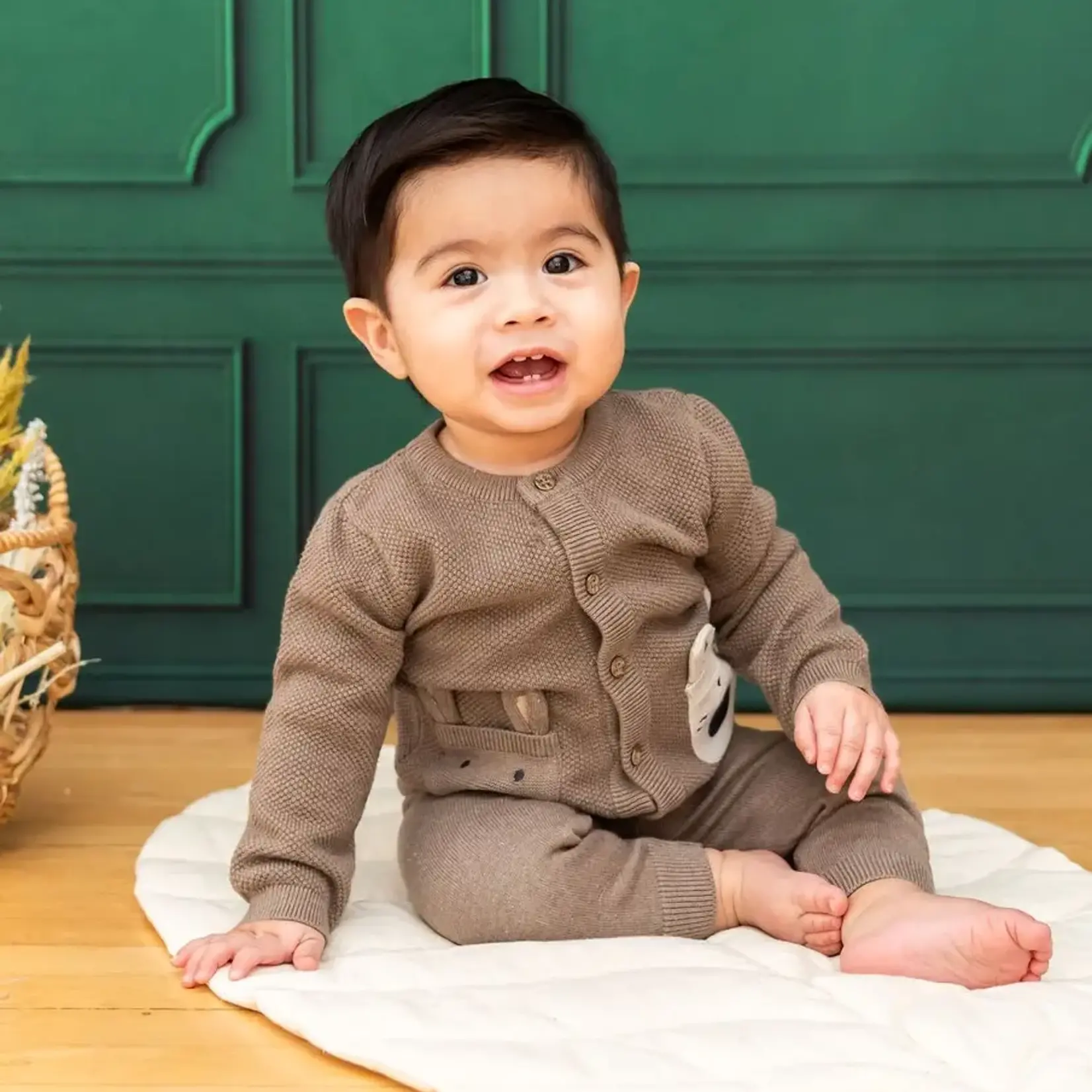 Viverano Organics Animal Pocket Button Cardigan Baby Sweater (Organic Cotton)