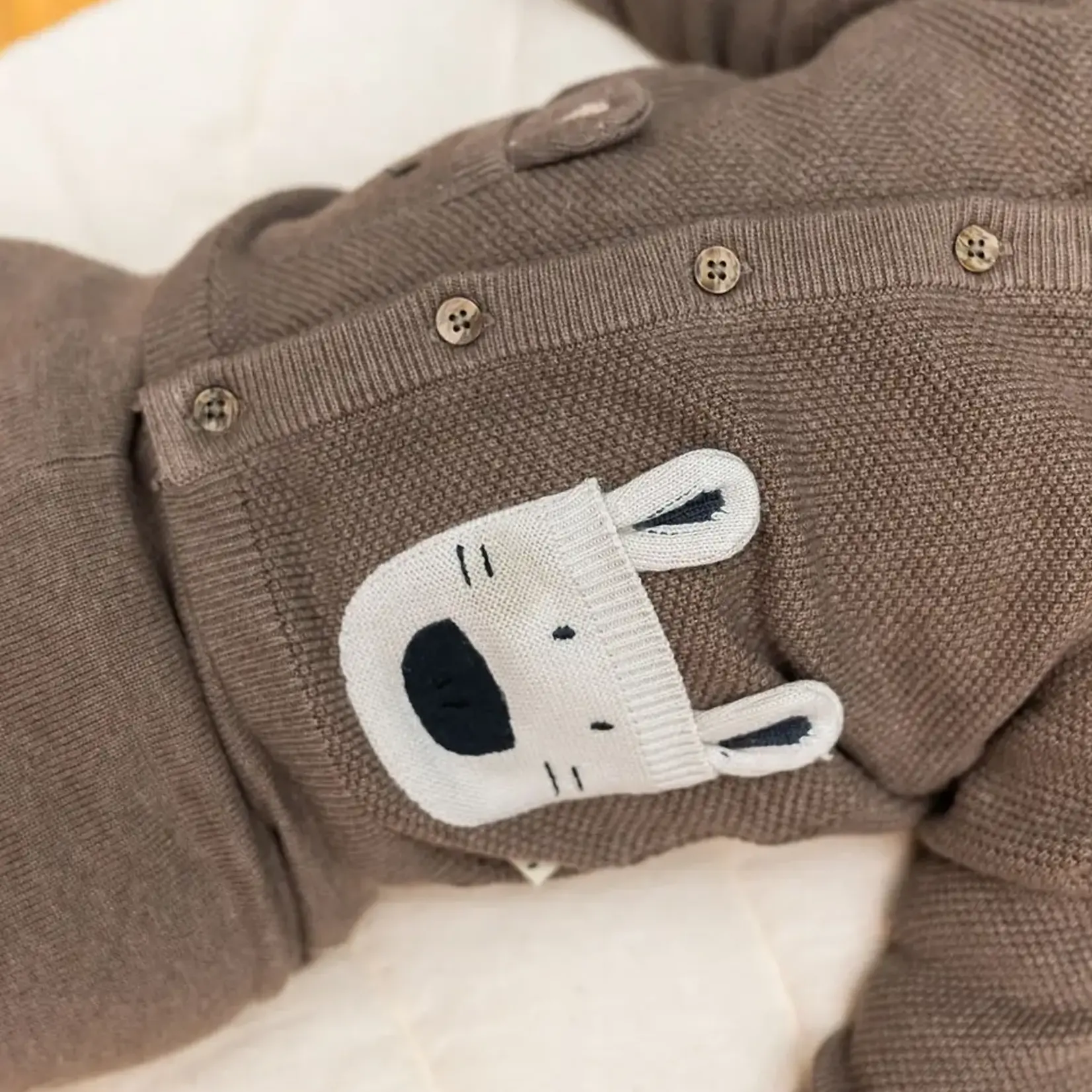 Viverano Organics Animal Pocket Button Cardigan Baby Sweater (Organic Cotton)