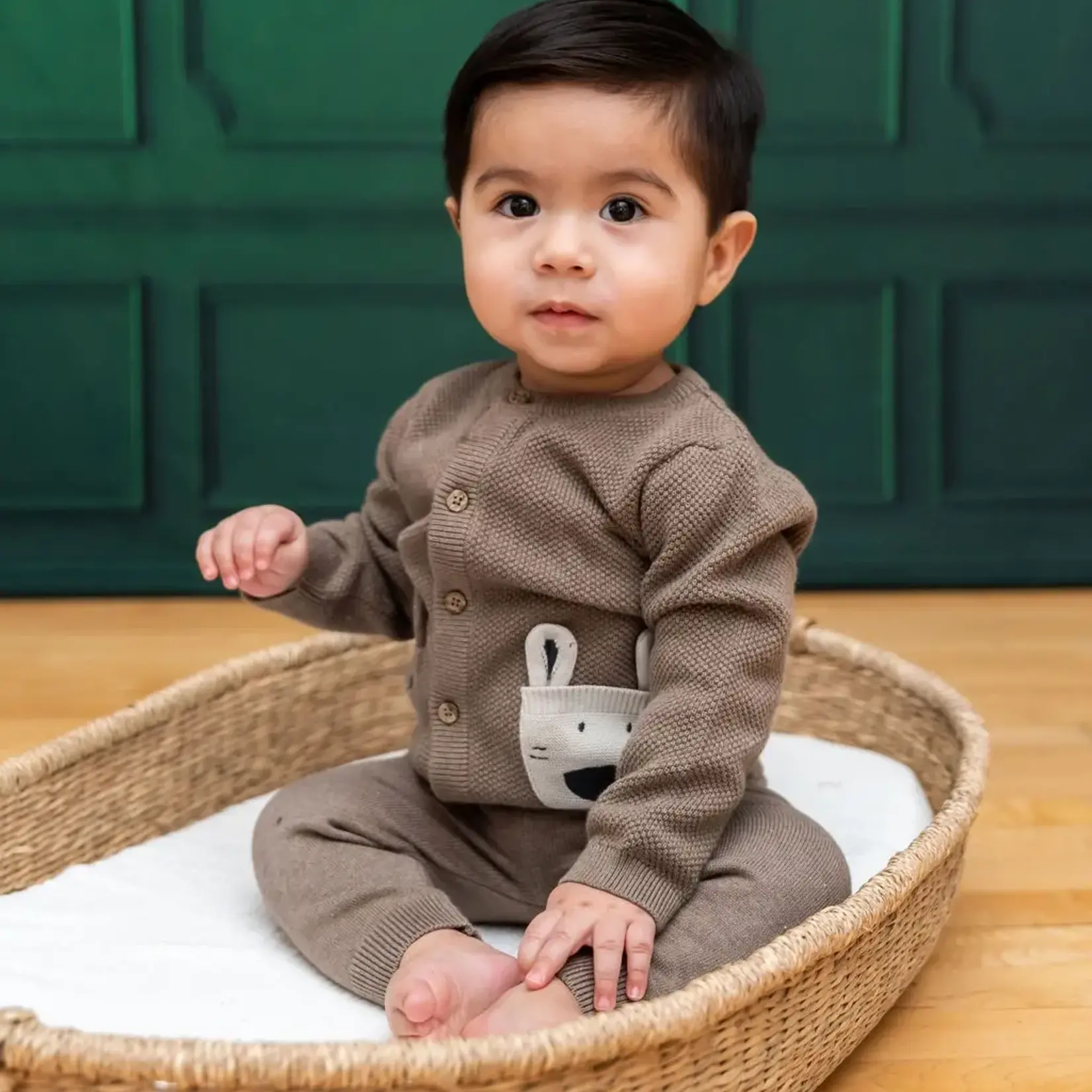Viverano Organics Animal Pocket Button Cardigan Baby Sweater (Organic Cotton)