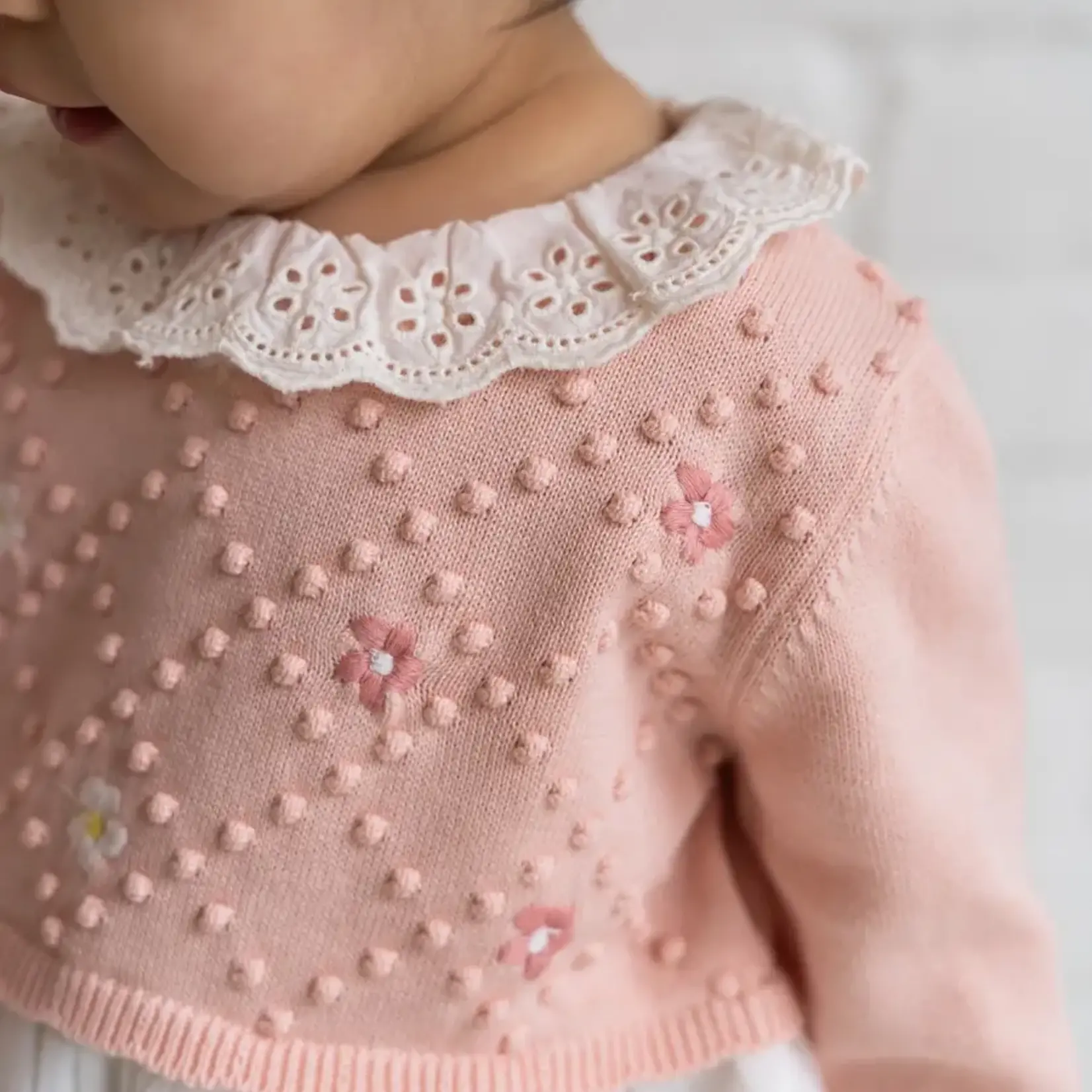 Viverano Organics Floral Embroidered Knit Tutu Dress (Organic Cotton) Blush