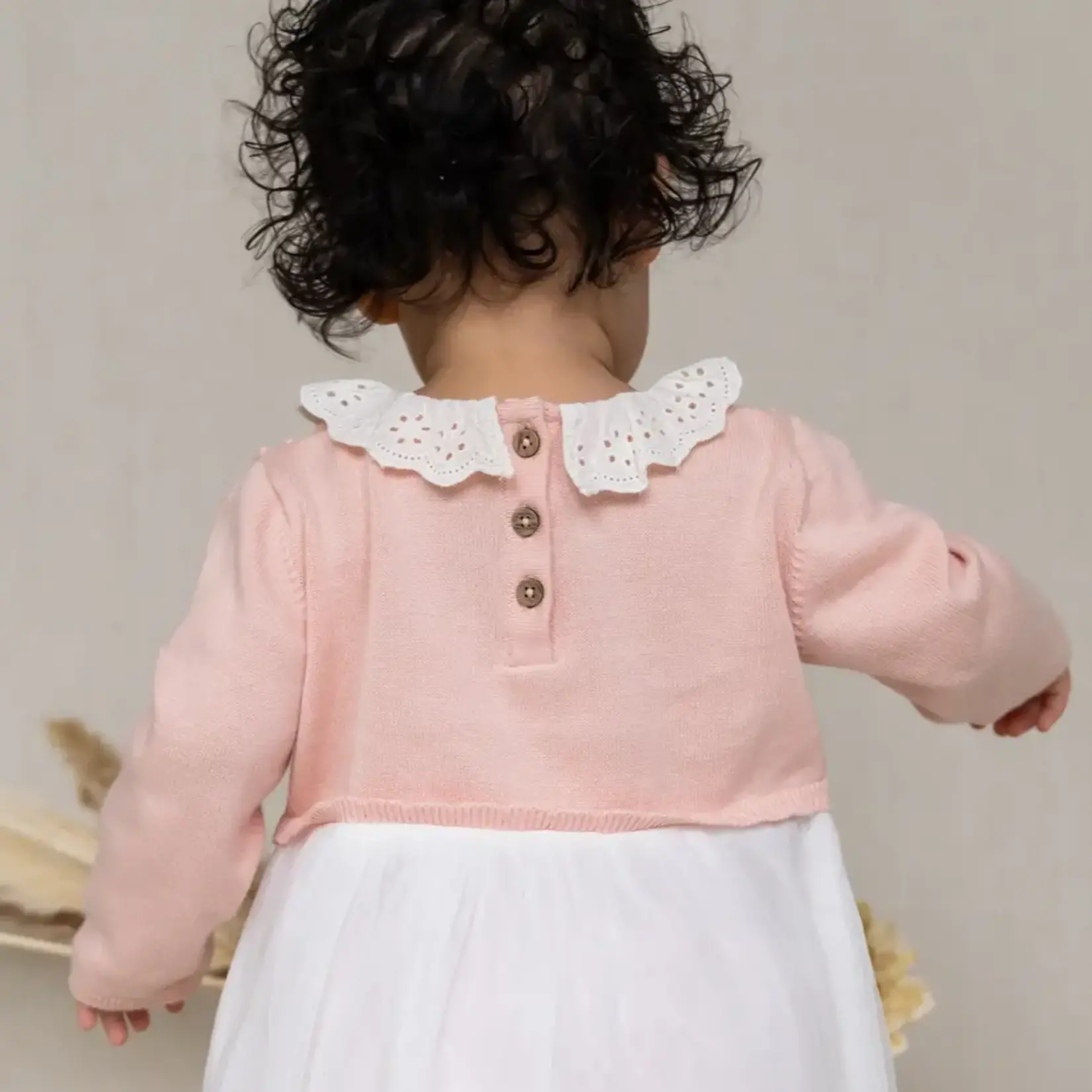 Viverano Organics Floral Embroidered Knit Tutu Dress (Organic Cotton) Blush