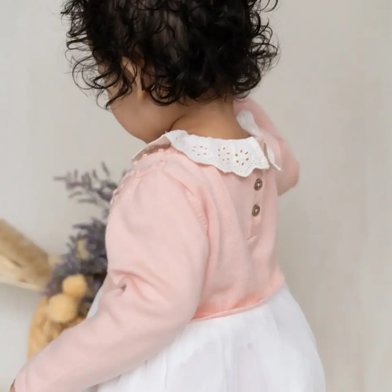 Viverano Organics Floral Embroidered Knit Tutu Dress (Organic Cotton) Blush