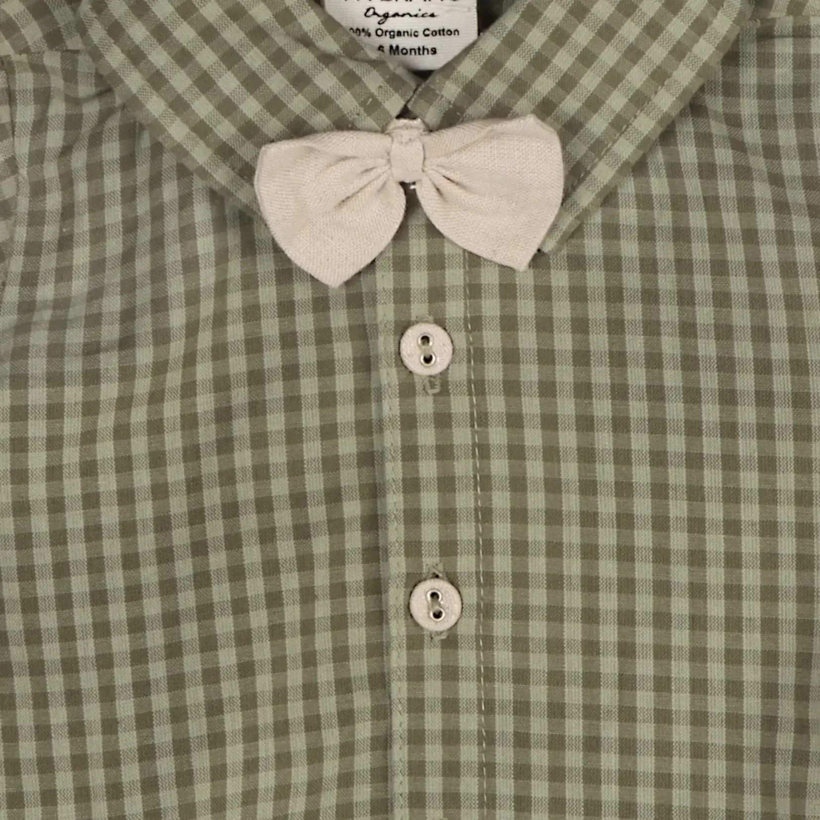 Viverano Organics Gingham Shirt & Linen Pant Set (Linen Blend)