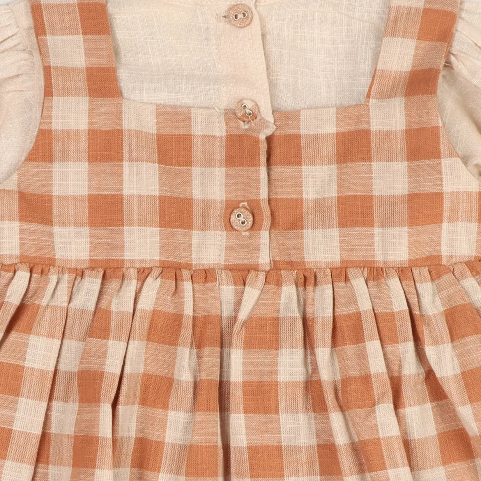 Viverano Organics Pinafore Gingham Baby Dress, Shirt & & Bloomer (Organic)