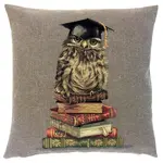 yapatkwa - art of the loom Decorative Pillow Cover Owl with Books