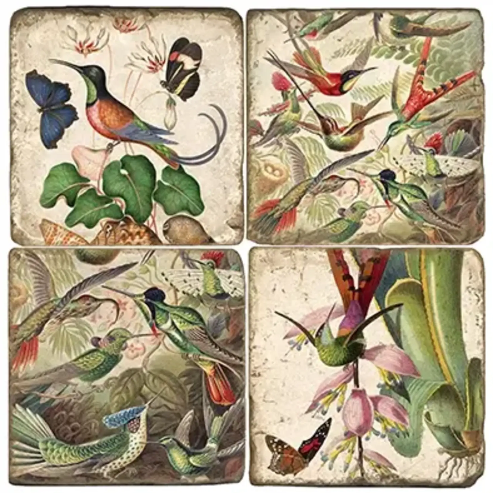 Hummingbird Ii - Tumbled Marble Coasters Set/4
