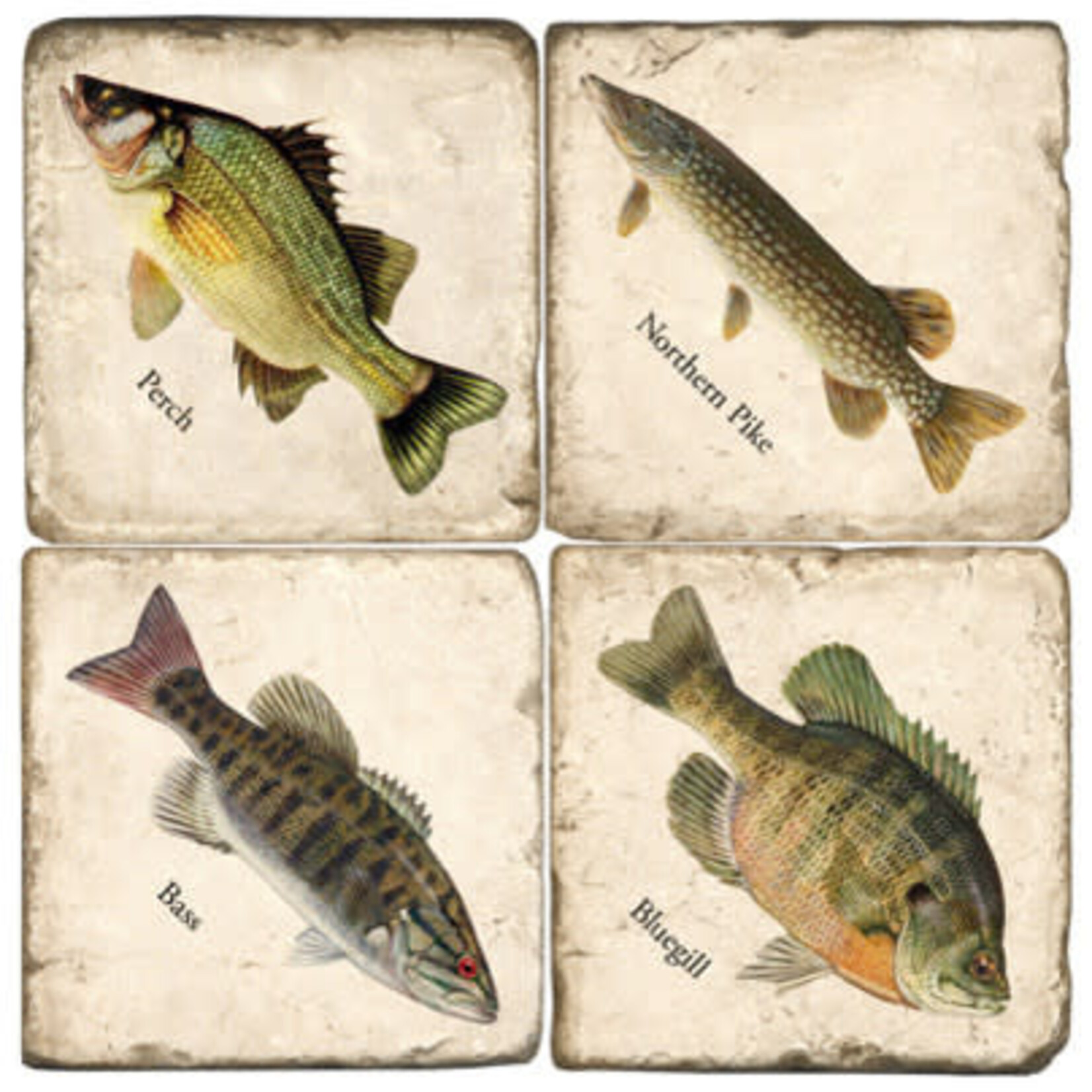 Midwest Fish - Tumbled Marble Coasters Set/4