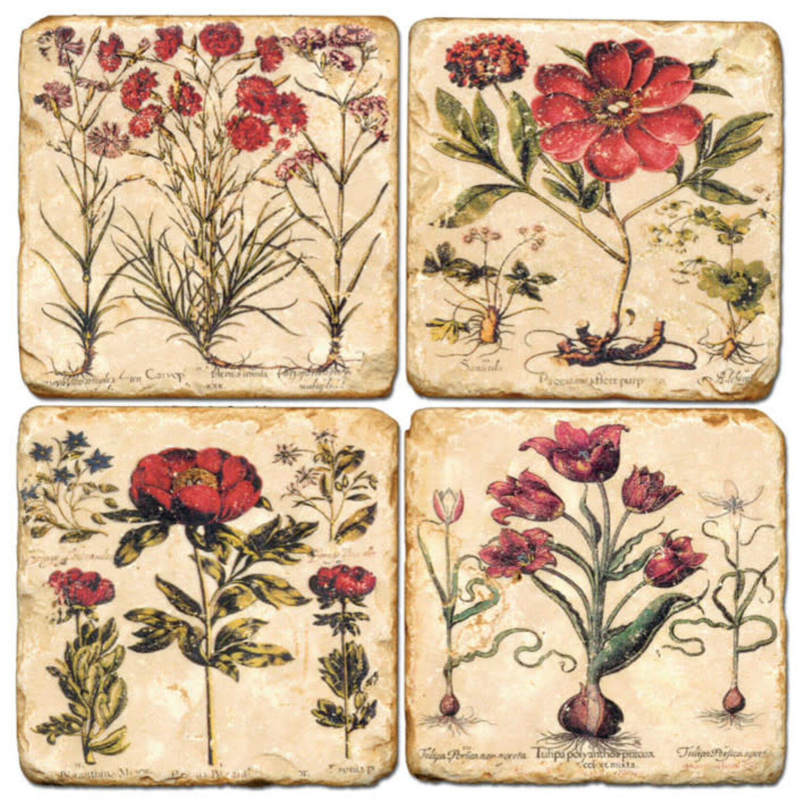 Mixed Red Flowers - Tumbled Marble Coasters Set/4