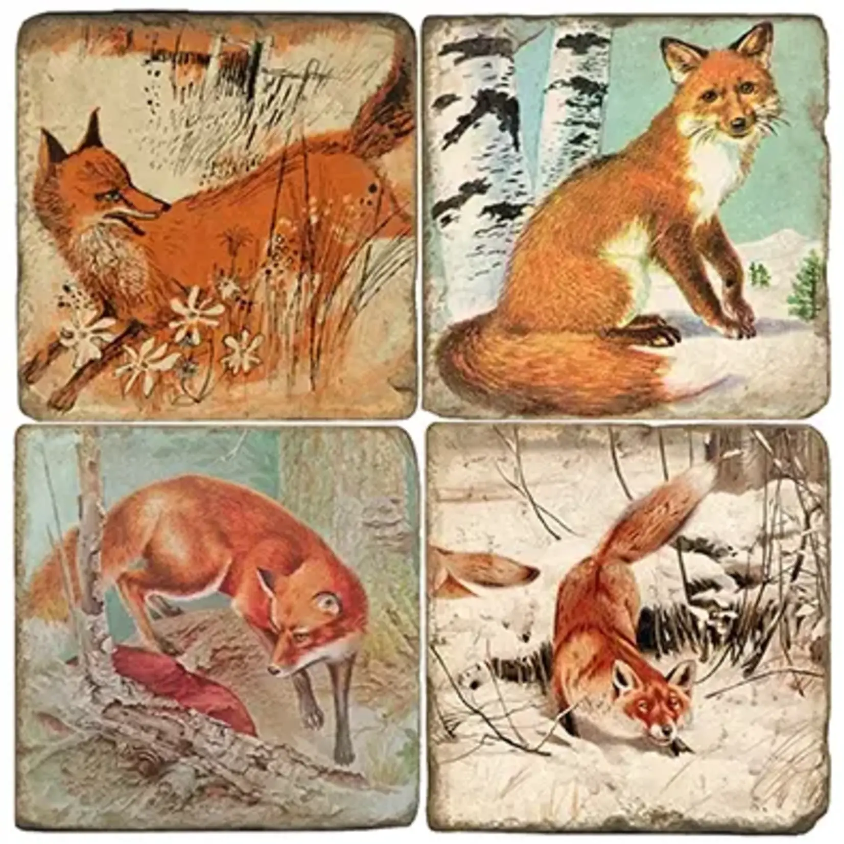 Sly Fox - Tumbled Marble Coasters Set/4