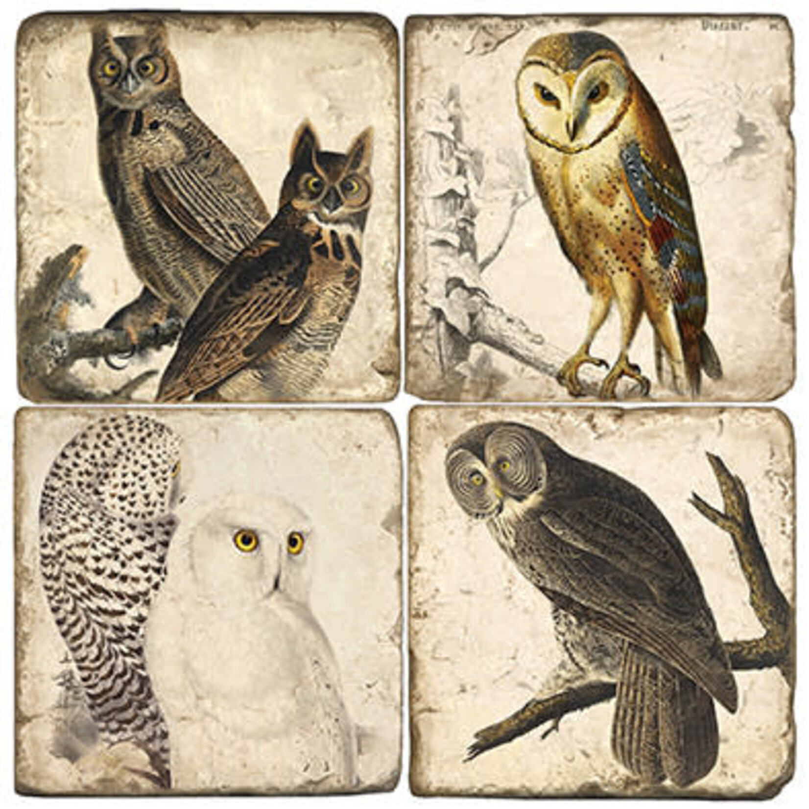 Vintage Owls - Tumbled Marble Coasters Set/4