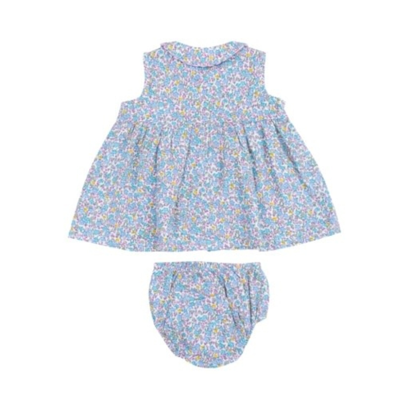 Angel Dear Flowers and Berries The Jill- Peter Pan Button Front Dress w/ Ric Rac Trim and DC