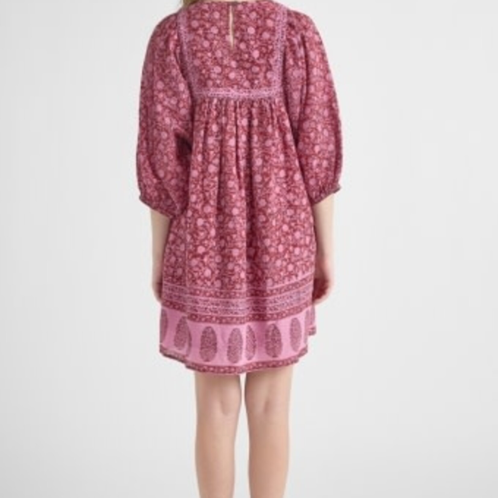 Pink Chicken womens sanaa dress - burgundy garden floral